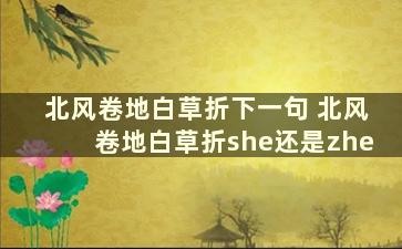 北风卷地白草折下一句 北风卷地白草折she还是zhe